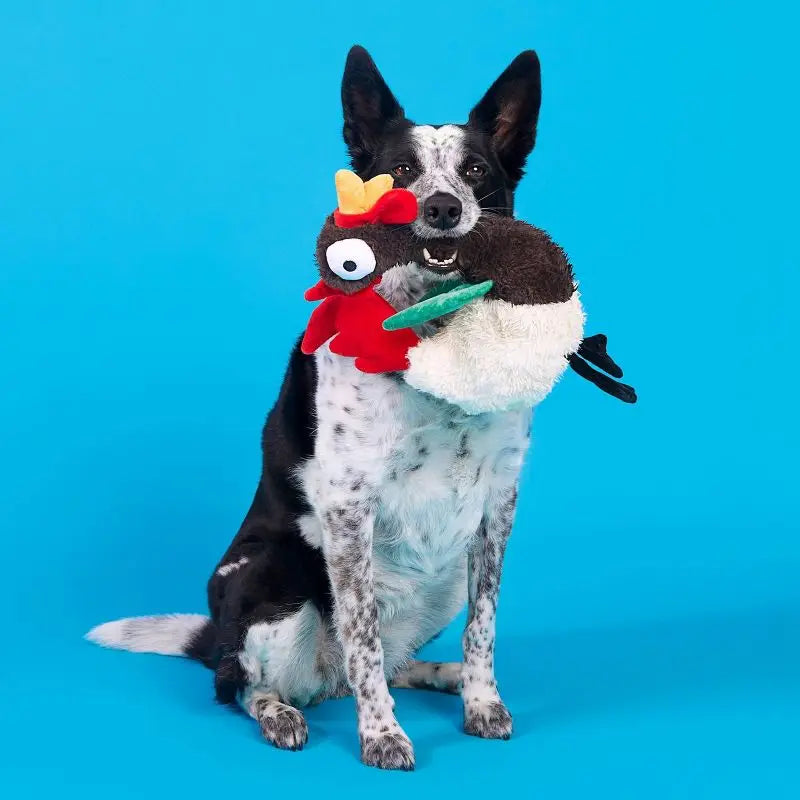 Squeaky Crinkle Rooster Dog Toy for Chewers