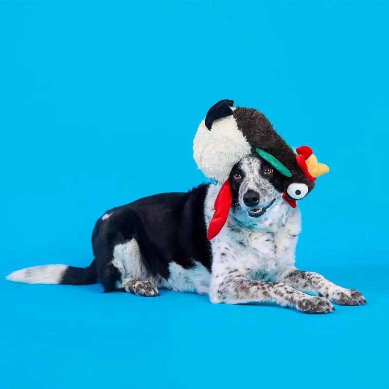 Squeaky Crinkle Rooster Dog Toy for Chewers