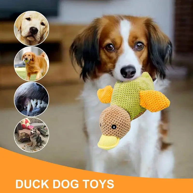 Stuffed Squeaky Duck Dog Toy