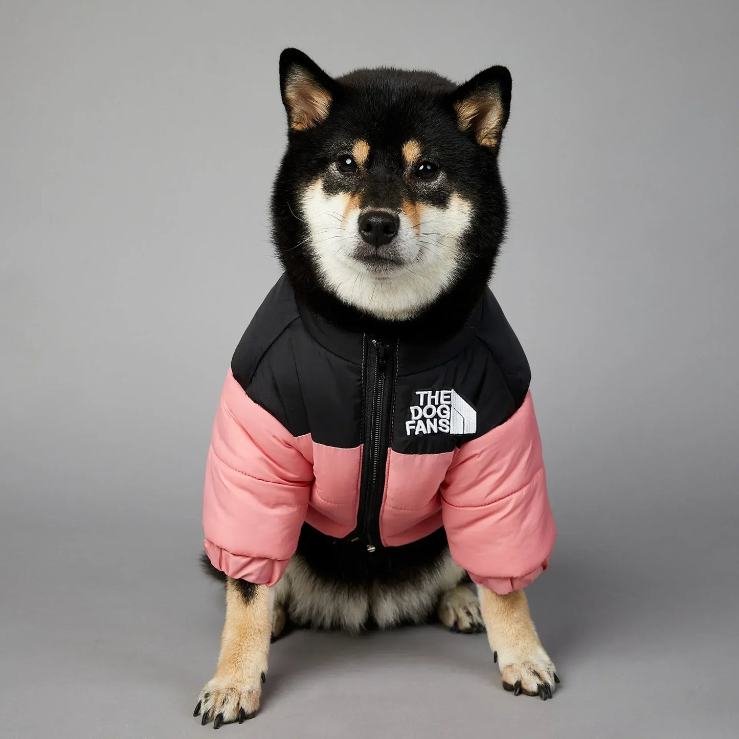 Winter Pet Dog Down Jacket Clothes for Small Medium Dogs