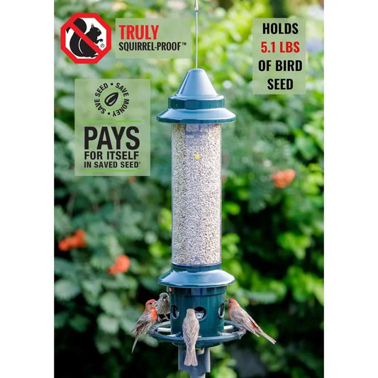 Squirrel-proof Bird Feeder w/Cardinal Ring and 6 Feeding Ports