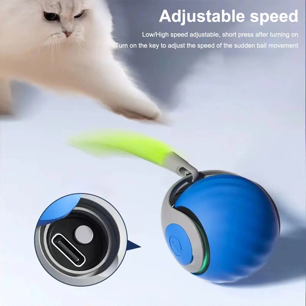 Moving Cat Ball USB Rechargeable