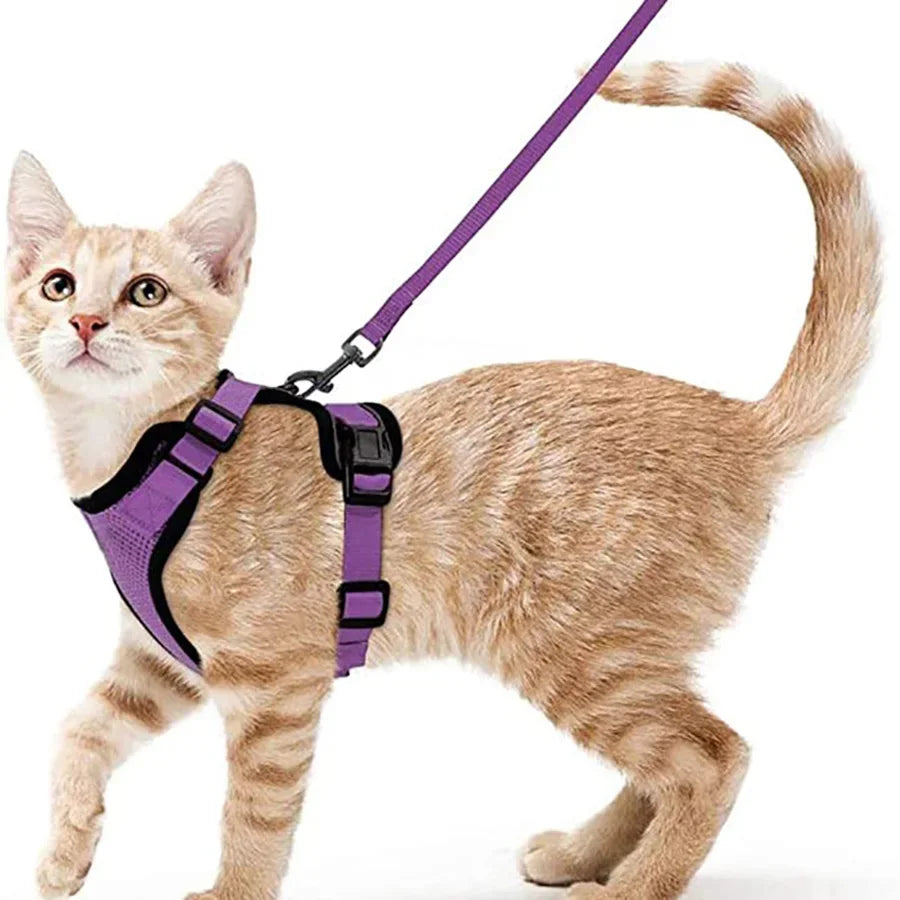 Cat Harness and Leash for Walking, Escape Proof Soft Adjustable Vest Harnesses for Cats