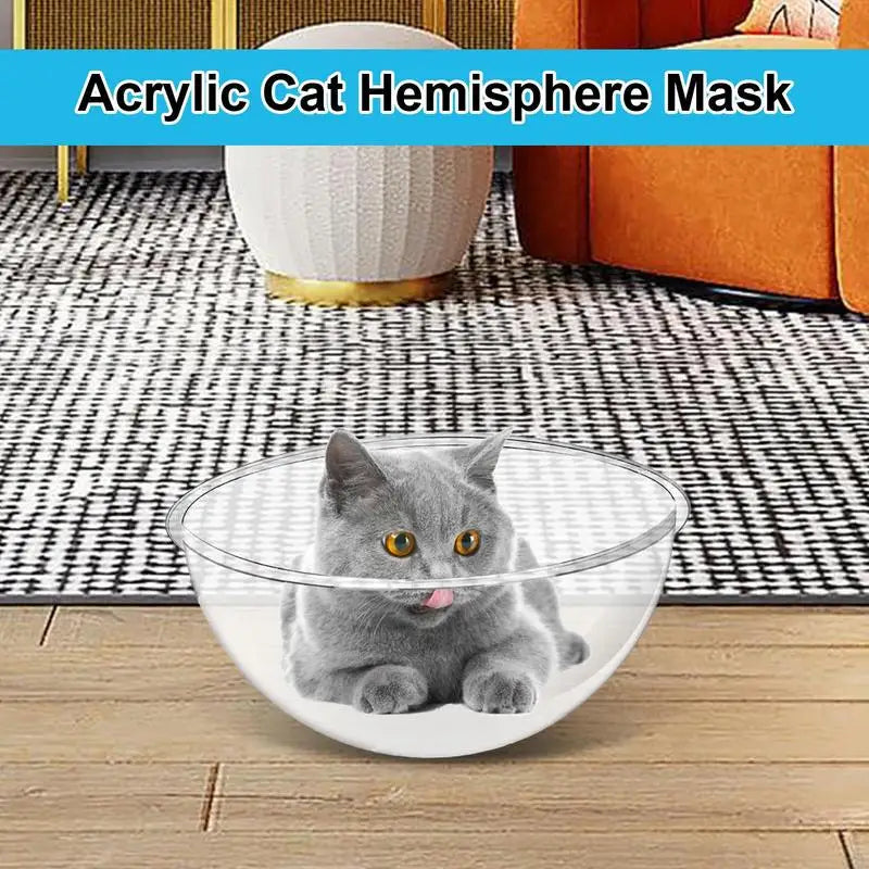 Space Capsule Cat Bed Nesting Bed Pet Supplies Indoors Outdoors Transparent Capsule Dome