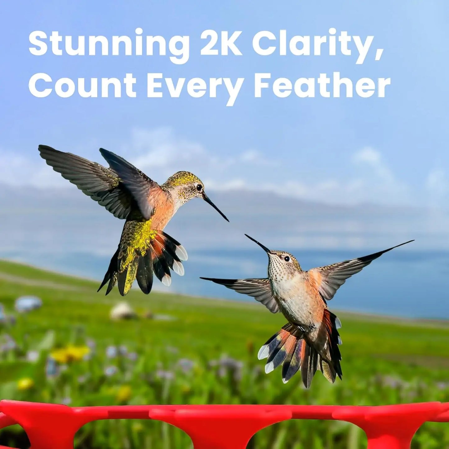 Birdfy Hummingbird Feeder with Dual Cameras - 2K HD Smart Cameras Solar Powered,