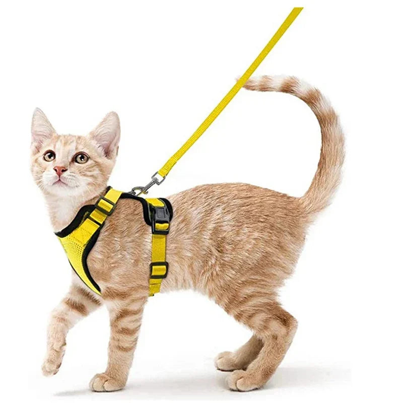 Cat Harness and Leash for Walking, Escape Proof Soft Adjustable Vest Harnesses for Cats
