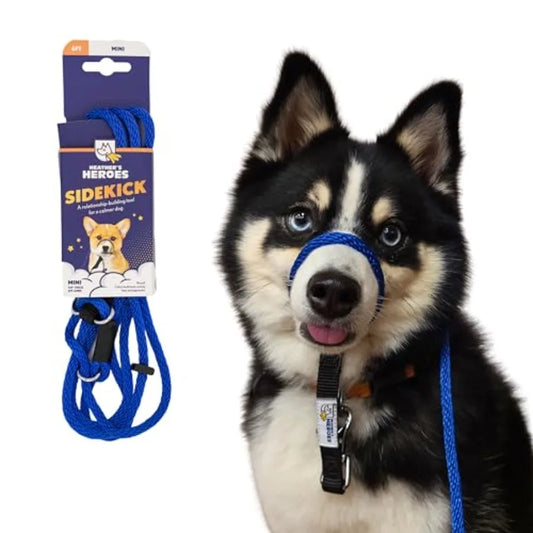 The Sidekick NoPull Leash Blue for Dogs Perfect for Walking in Busy Urban Areas