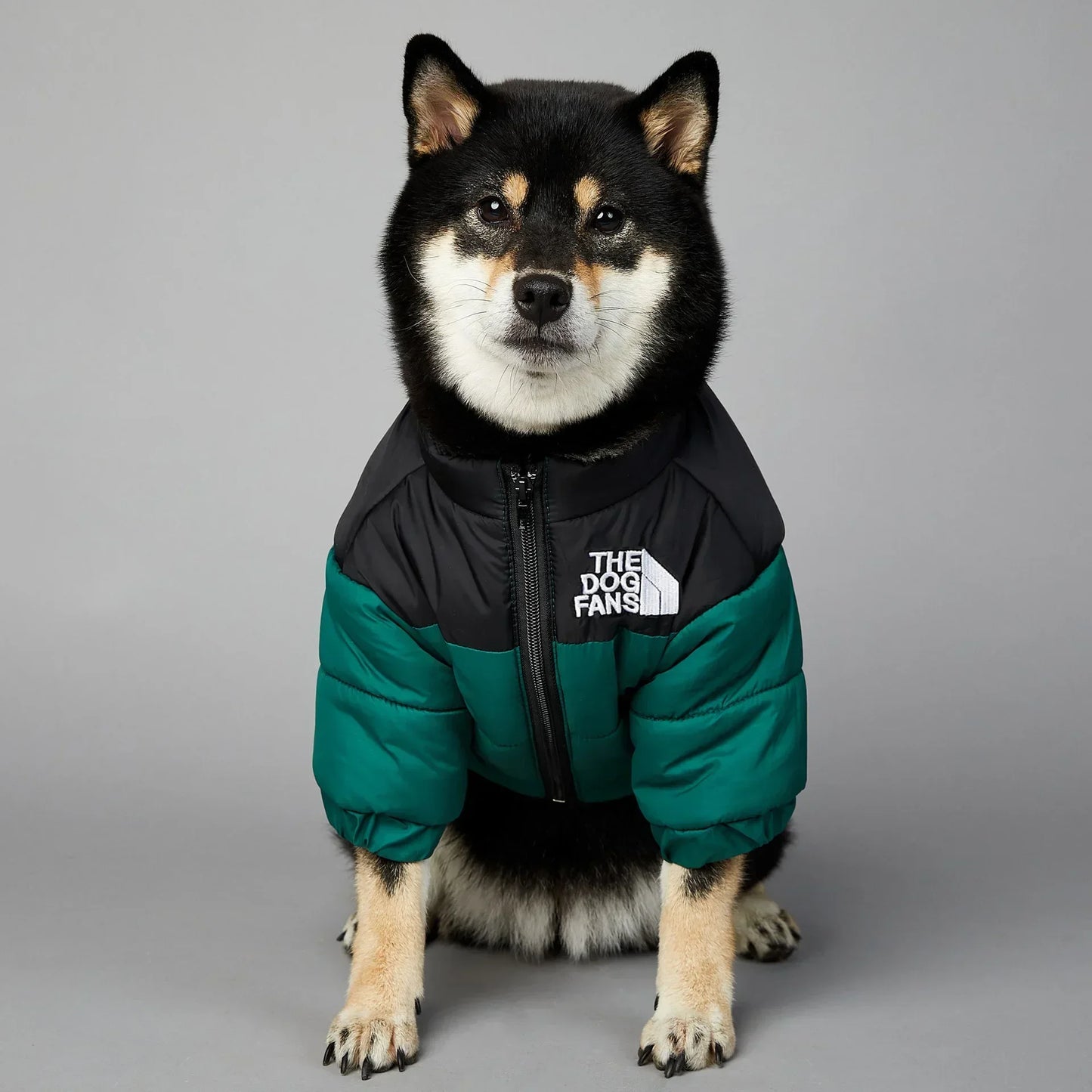Winter Pet Dog Down Jacket Clothes for Small Medium Dogs