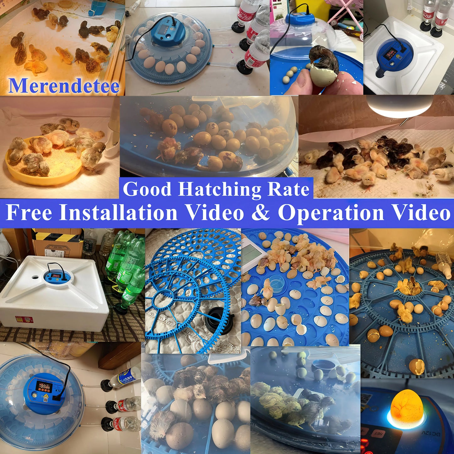26-52 Eggs Automatic IncubatorUpgrade Automatic Water Adding hatching eggs