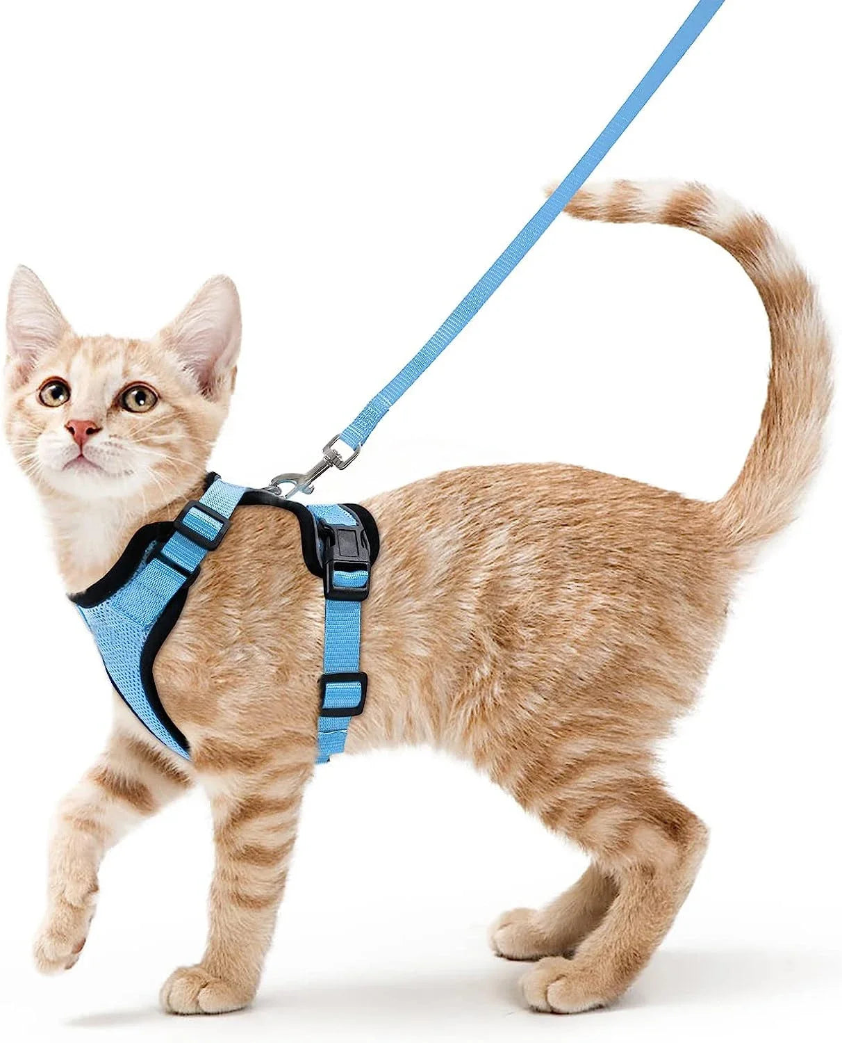Cat Harness and Leash for Walking, Escape Proof Soft Adjustable Vest Harnesses for Cats
