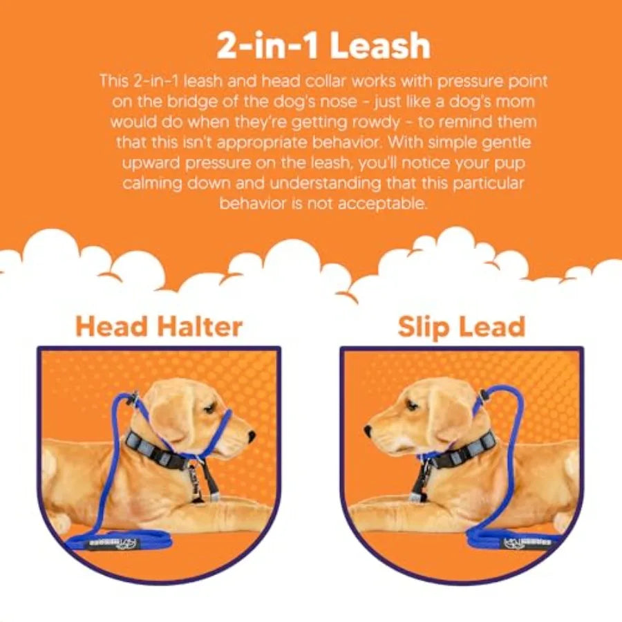 The Sidekick NoPull Leash Blue for Dogs Perfect for Walking in Busy Urban Areas