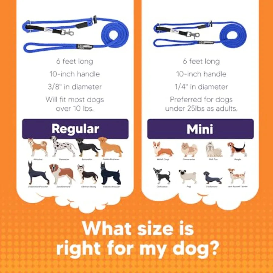 The Sidekick NoPull Leash Blue for Dogs Perfect for Walking in Busy Urban Areas