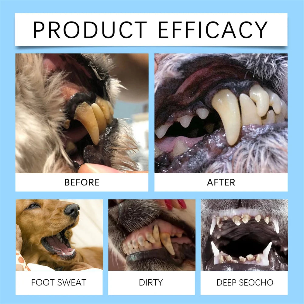 Dogs Cat Beauty Toothbrush Clean Kit Tartar Remover Teeth