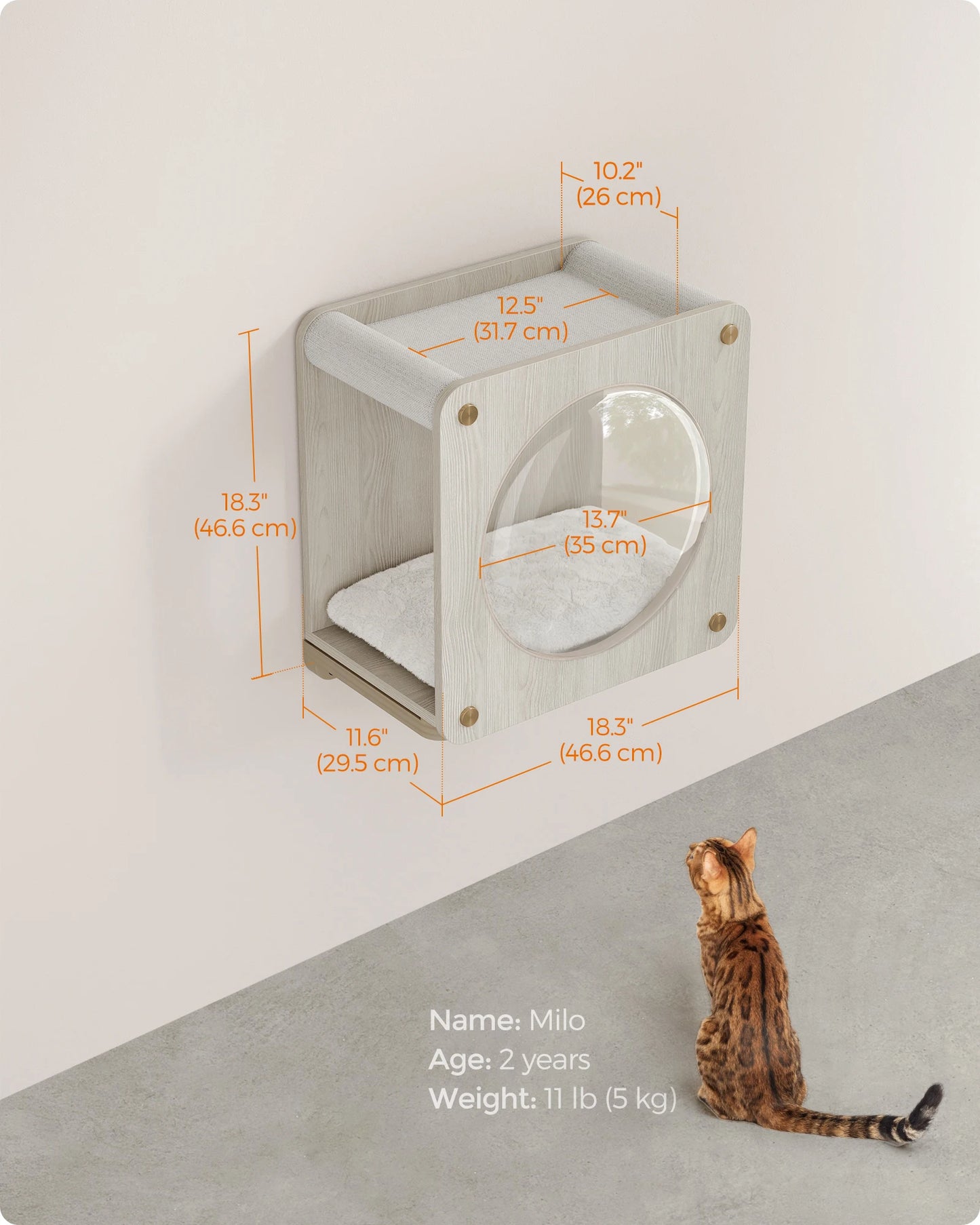 Cat Cave, Cat Wall Condo House with Hammock, Observation Window, Extremely Quick Assembly