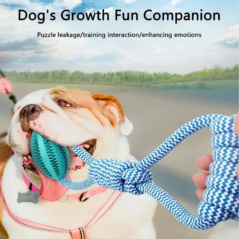 Interactive Dog Treat Ball 18x13cm, Chew Resistant Rope Toy with Food Dispensing for Mental Stimulation
