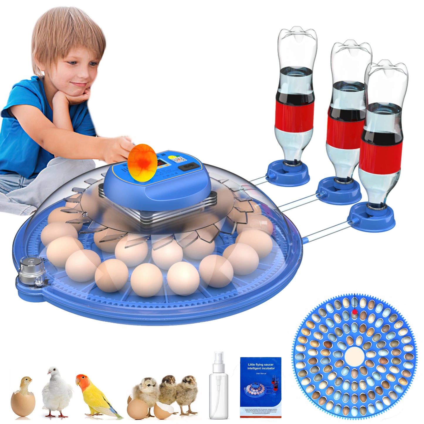 26-52 Eggs Automatic IncubatorUpgrade Automatic Water Adding hatching eggs