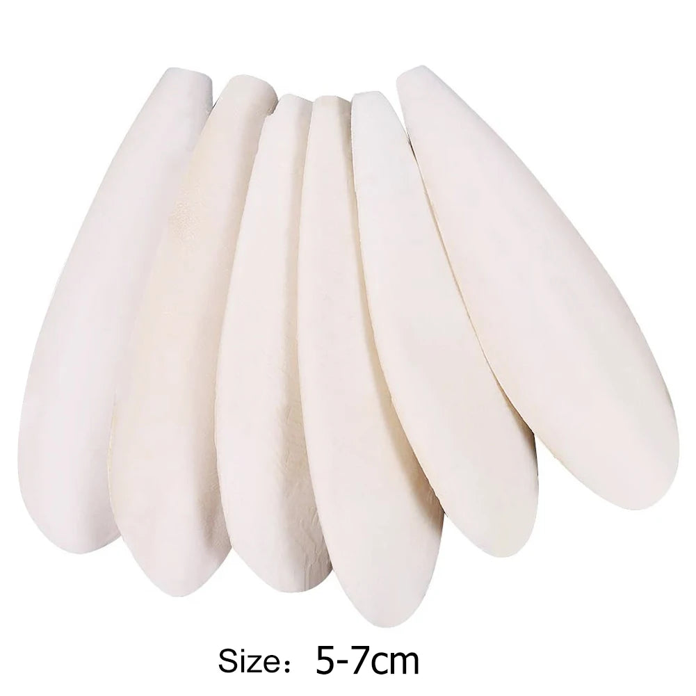 Cuttlefish Bone Bird Toys for Pet Parrot  Parakeet Cockatiel Molars