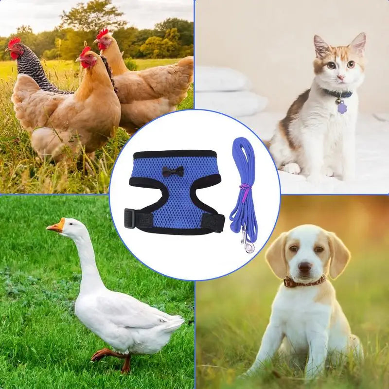 Chicken Harness  Adjustable