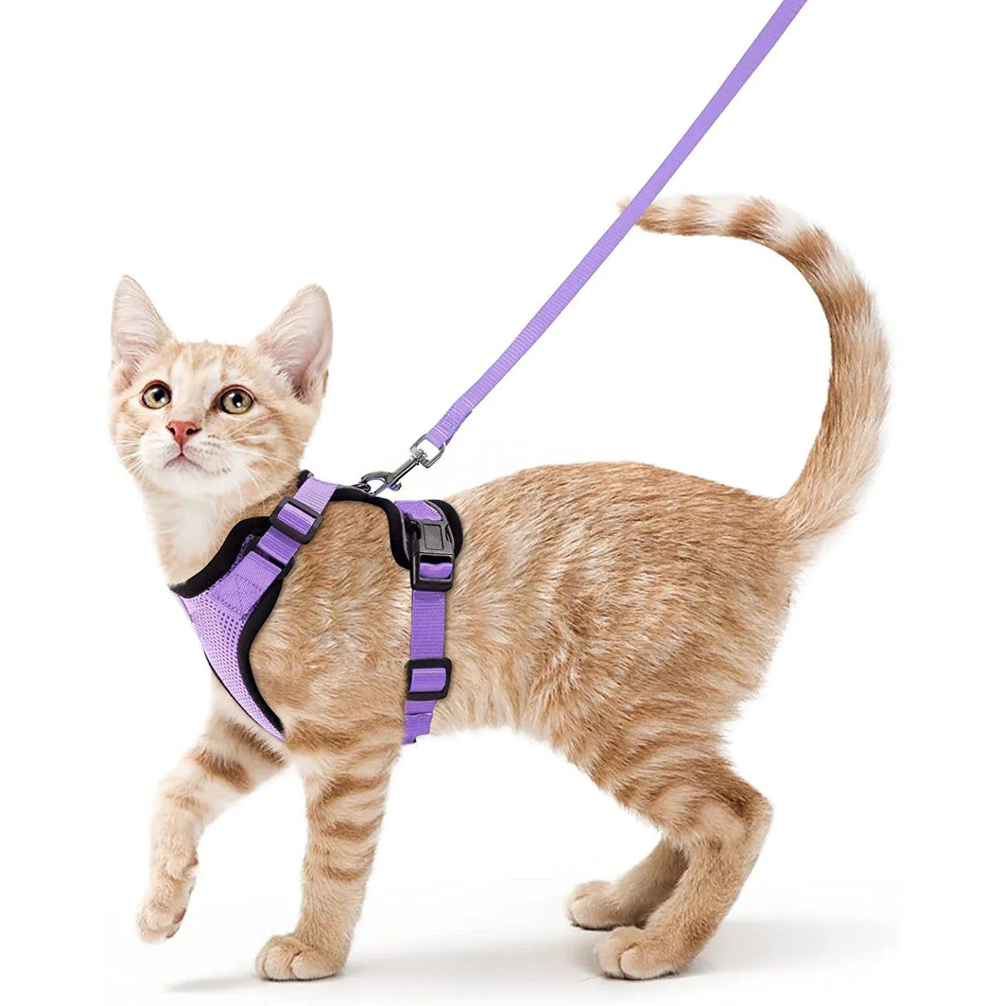 Cat Harness and Leash for Walking, Escape Proof Soft Adjustable Vest Harnesses for Cats