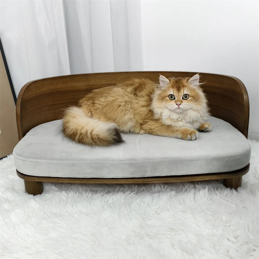 Elevated Dog or Kitten Sofa Bed