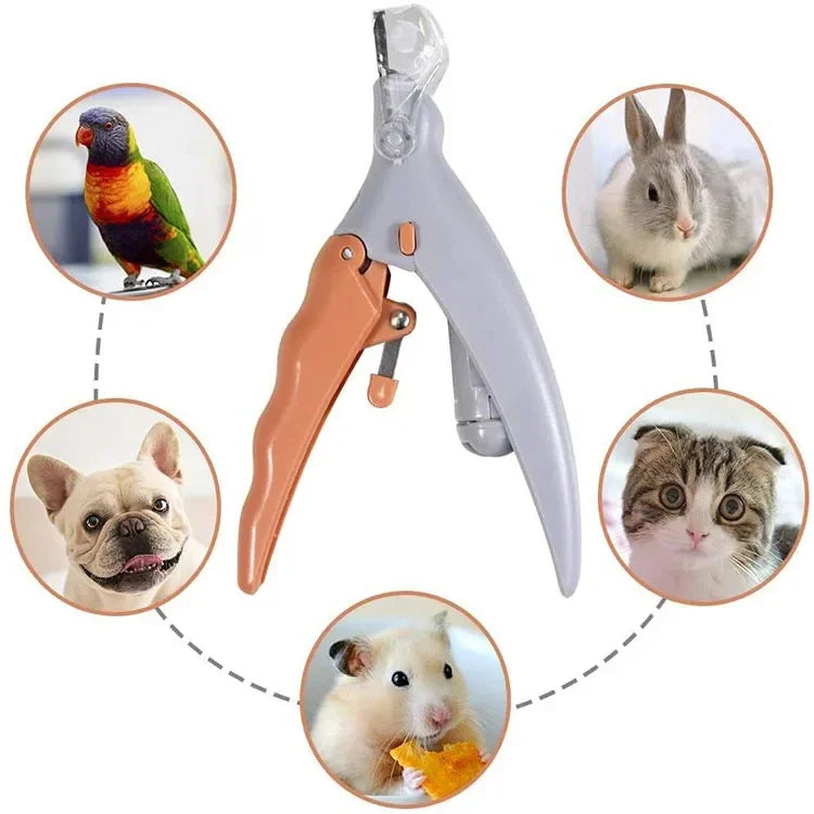 Professional Pet Nail Clipper Scissors With LED Light Cat Dog Nail Clippers Tool Scissors