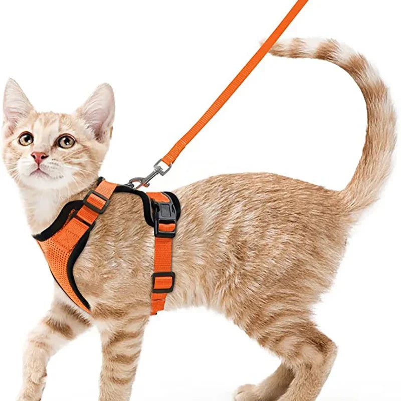 Cat Harness and Leash for Walking, Escape Proof Soft Adjustable Vest Harnesses for Cats