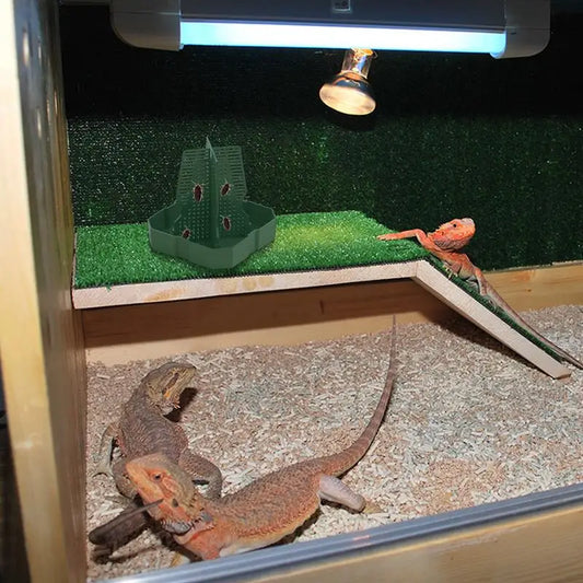 Bearded Dragon Feeder Chameleon Feeder