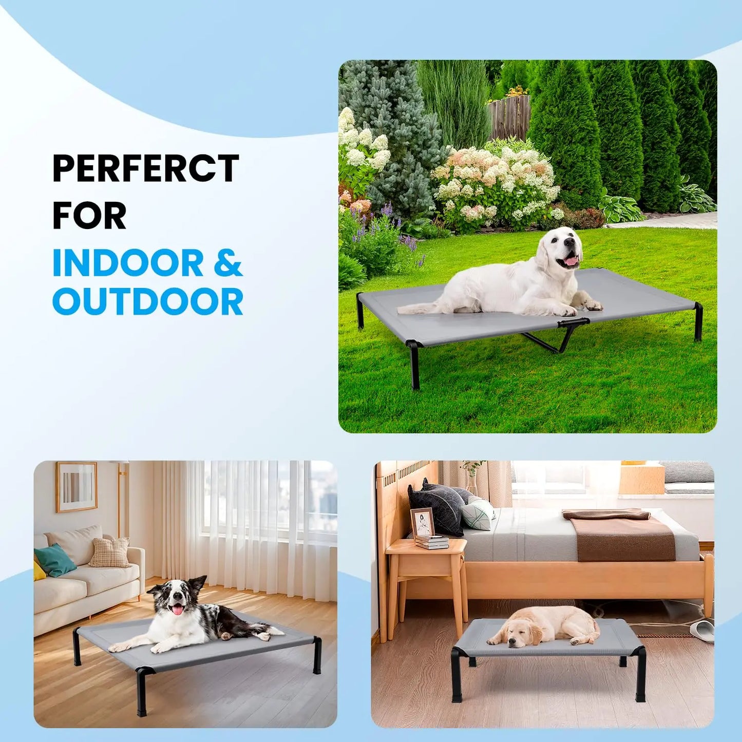 Elevated Dog Cat Bed