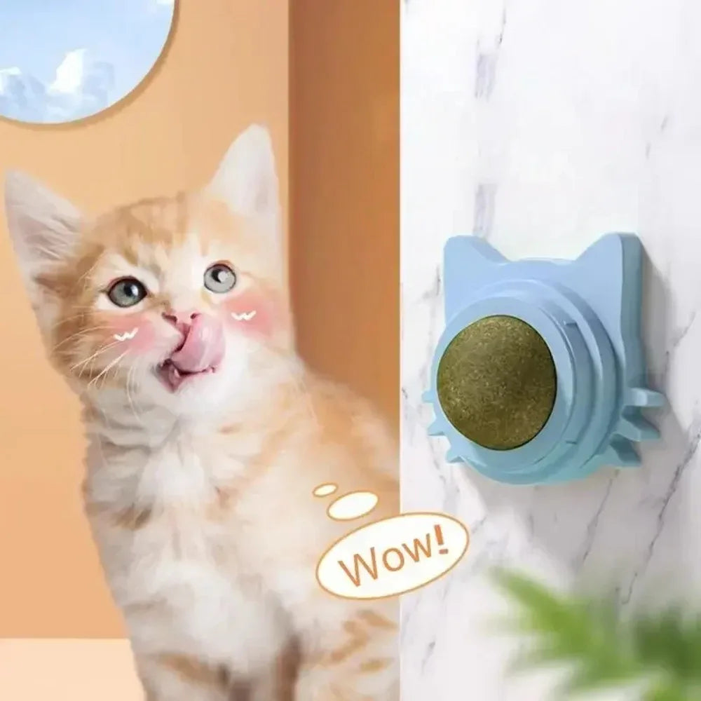 Lickable Catnip Balls Toy, Teeth Cleaning Chew Toy with Natural Catnip