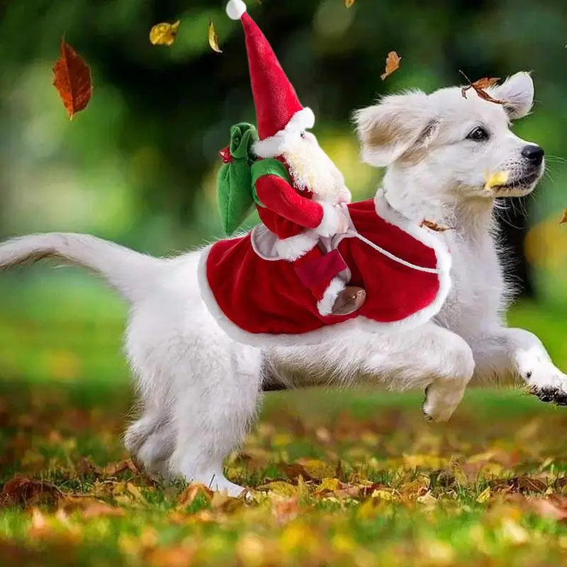 Christmas Pet Clothes Riding Pet Santa Claus
