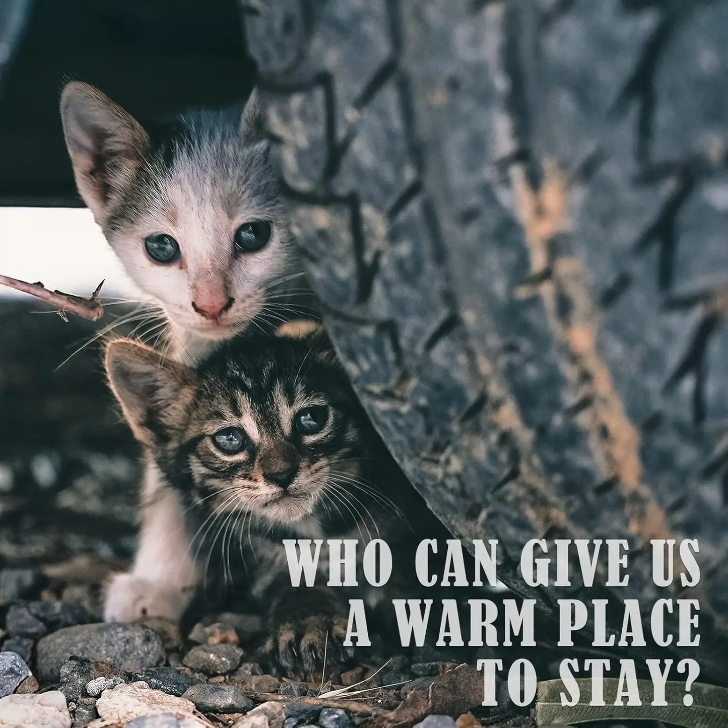 Waterproof Outdoor Pet Heating Pad for Cats and Dogs, Safe Electric Warming Mat 20"X16",