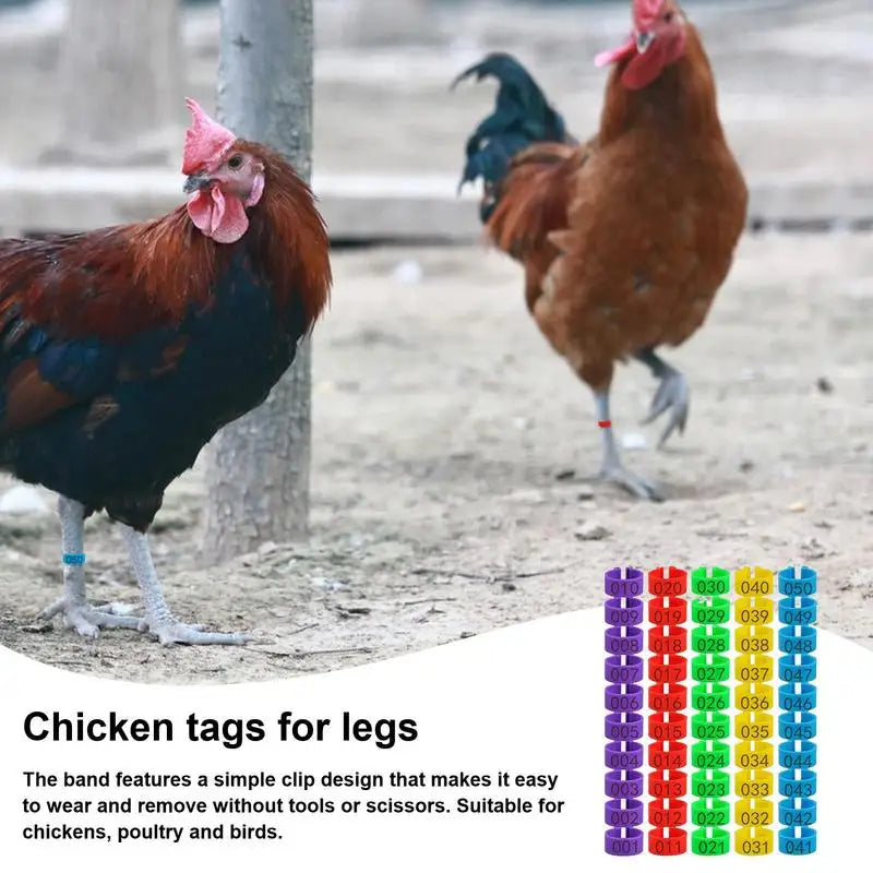 Duck Chicken Poultry Leg Tags Numbered