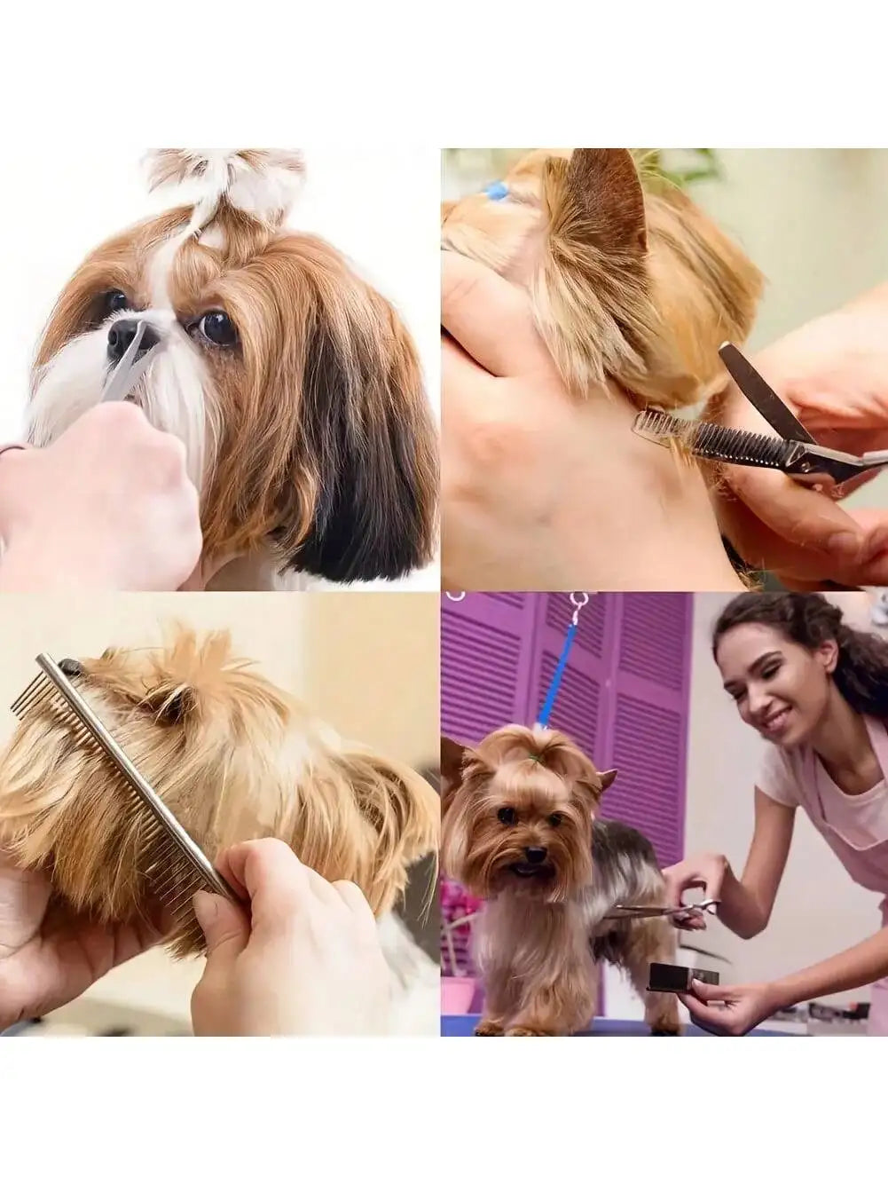 5-piece Professional Pet Beauty Scissors Set - Essential for Pets, Furniture Only, Black Storage Box