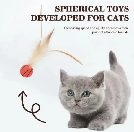 Cat Toys  Carrot Cuddle cat stick