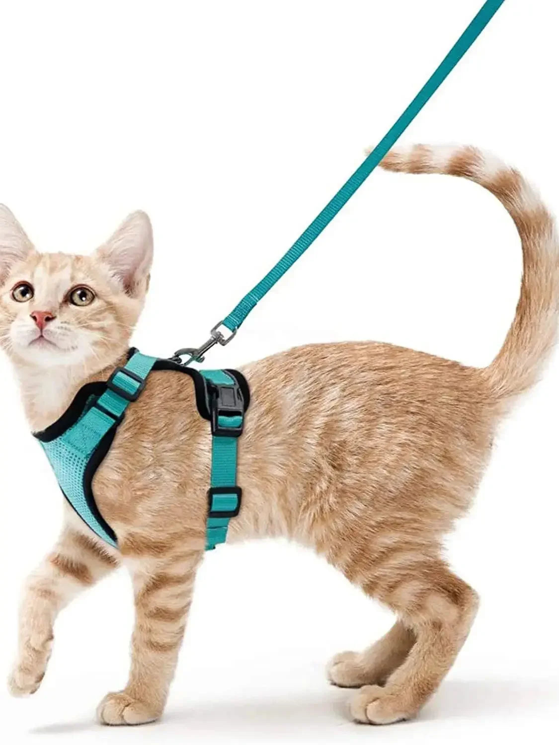 Cat Harness and Leash for Walking, Escape Proof Soft Adjustable Vest Harnesses for Cats