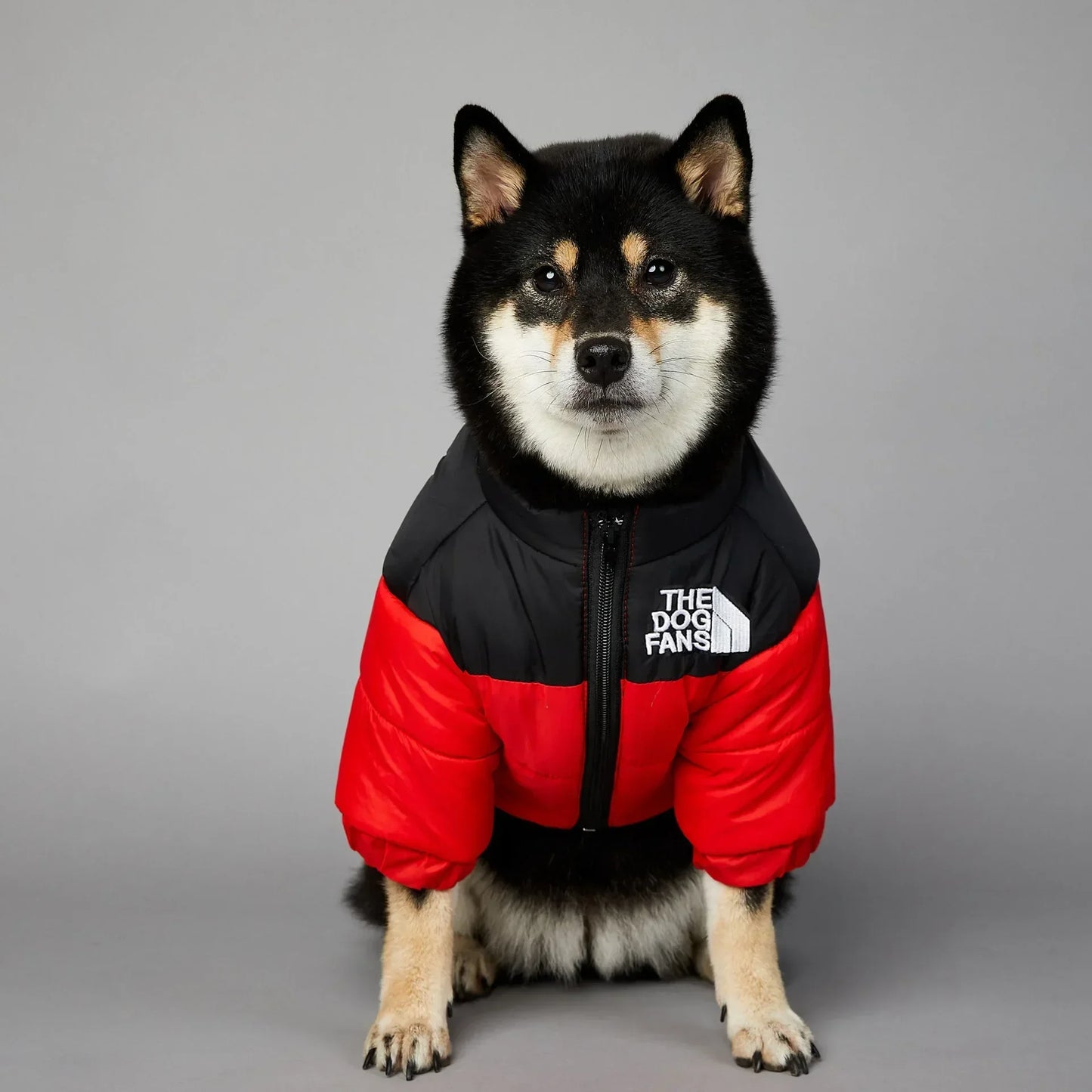 Winter Pet Dog Down Jacket Clothes for Small Medium Dogs