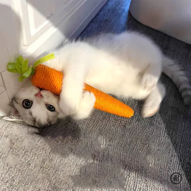 Cat Toys  Carrot Cuddle cat stick