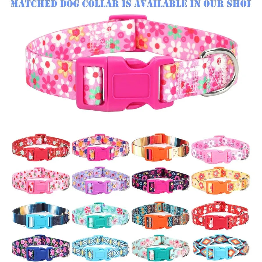 Step in Dog Harness Leash Set for All Weather Use with Reflective Details NoPull Design