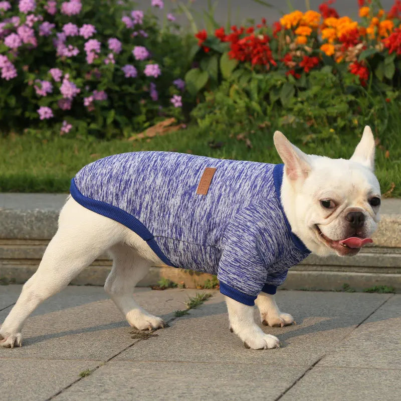 Manufacturer Customizes French Bulldog, Pug, Dog, Cat, Pet Clothes,