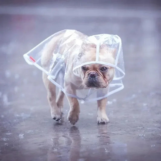 Transparent Hooded Pet Dog Plastic Raincoat