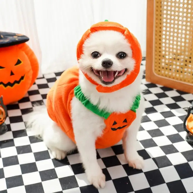 Halloween Cat Dog Costumes Pumpkin