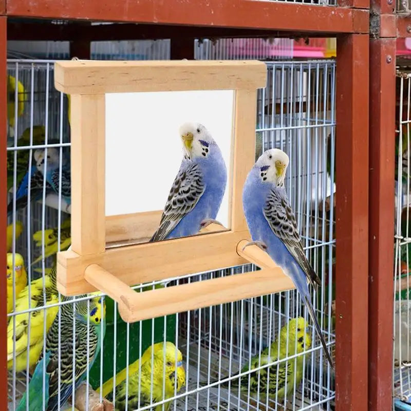 Bird Mirror Perches