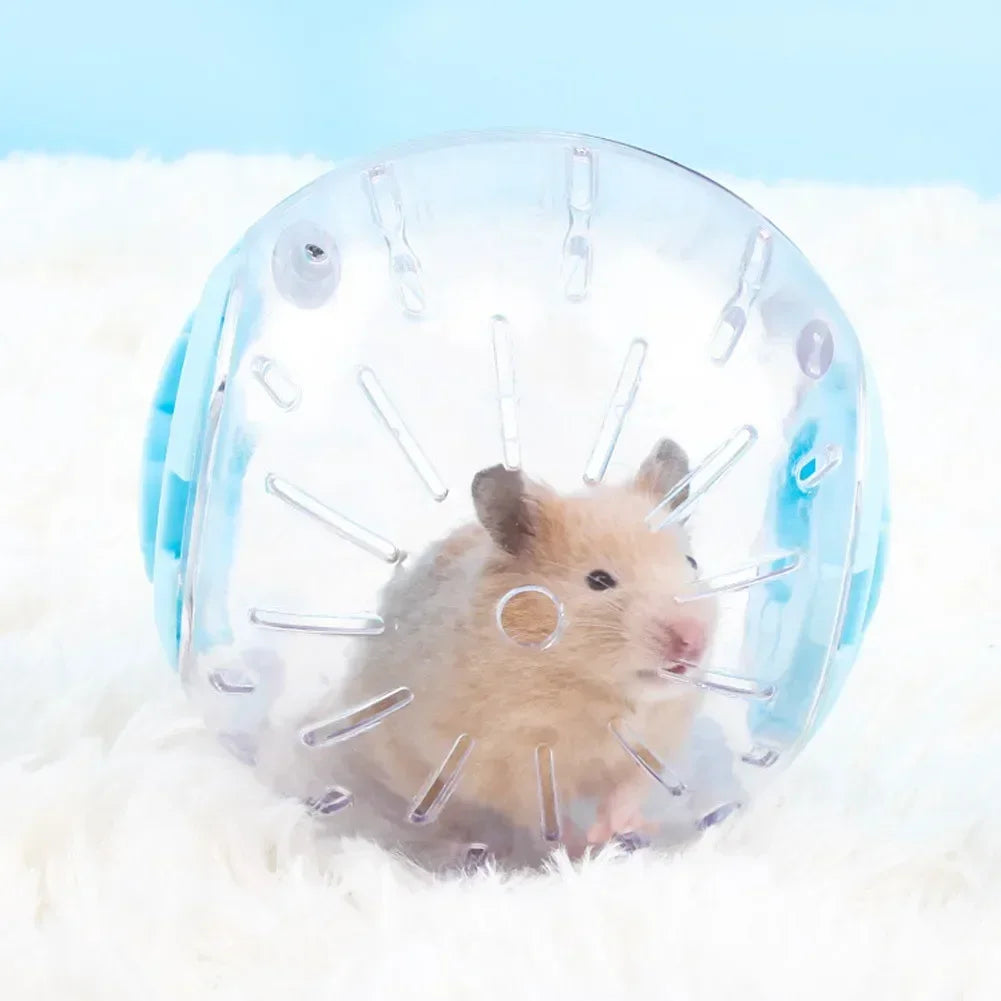 Plastic Outdoor Small Pet  Hamster Gerbil Exercise Ball Play Toy