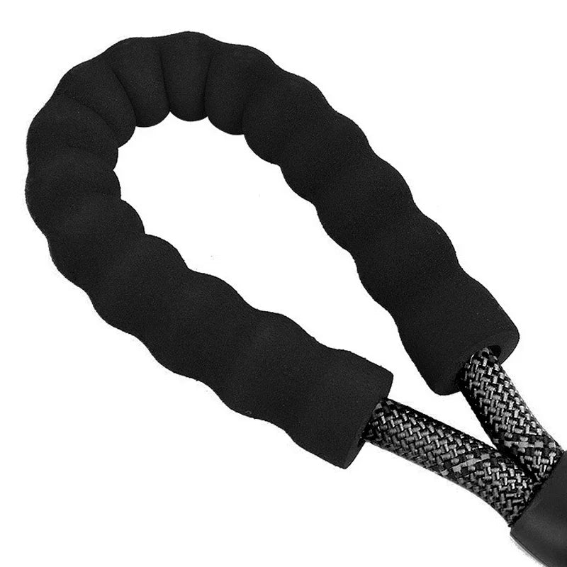 Two Dogs Collars Harness Leads Dog Leashes Dogs Leash Way Coupler Walk Two