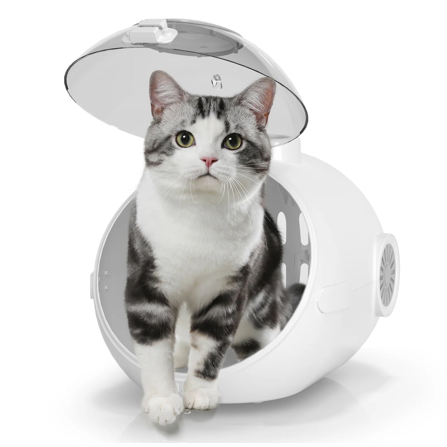 Cat Handbag with Fan, Breathable Granary Design with Soft Light,