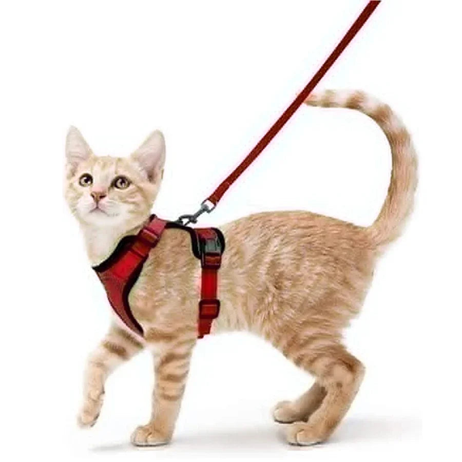Cat Harness and Leash for Walking, Escape Proof Soft Adjustable Vest Harnesses for Cats