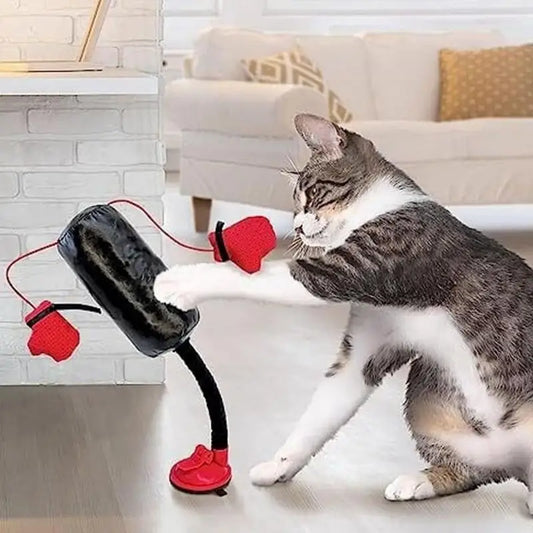 Portable Cat Punching Bag Toy Interactive Indoor Cats Kitten Toy