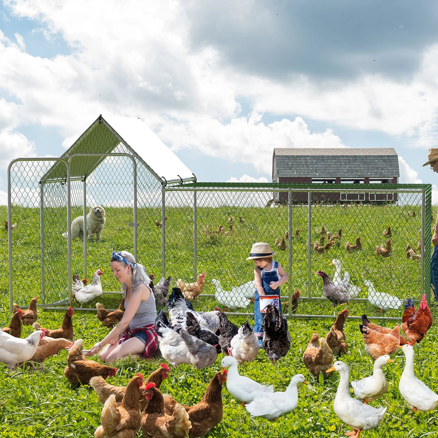 Poultry Cage with Waterproof Cover