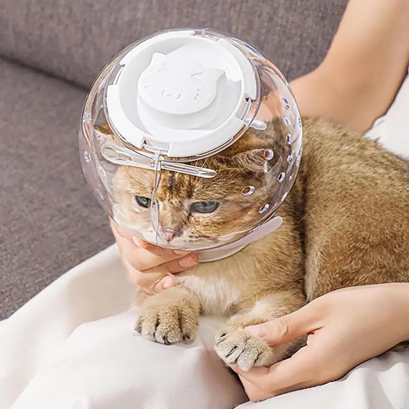 Cat Grooming Masque Clear Hood Pet Grooming Cover Accessory Prevent from Cats Biting Chewing