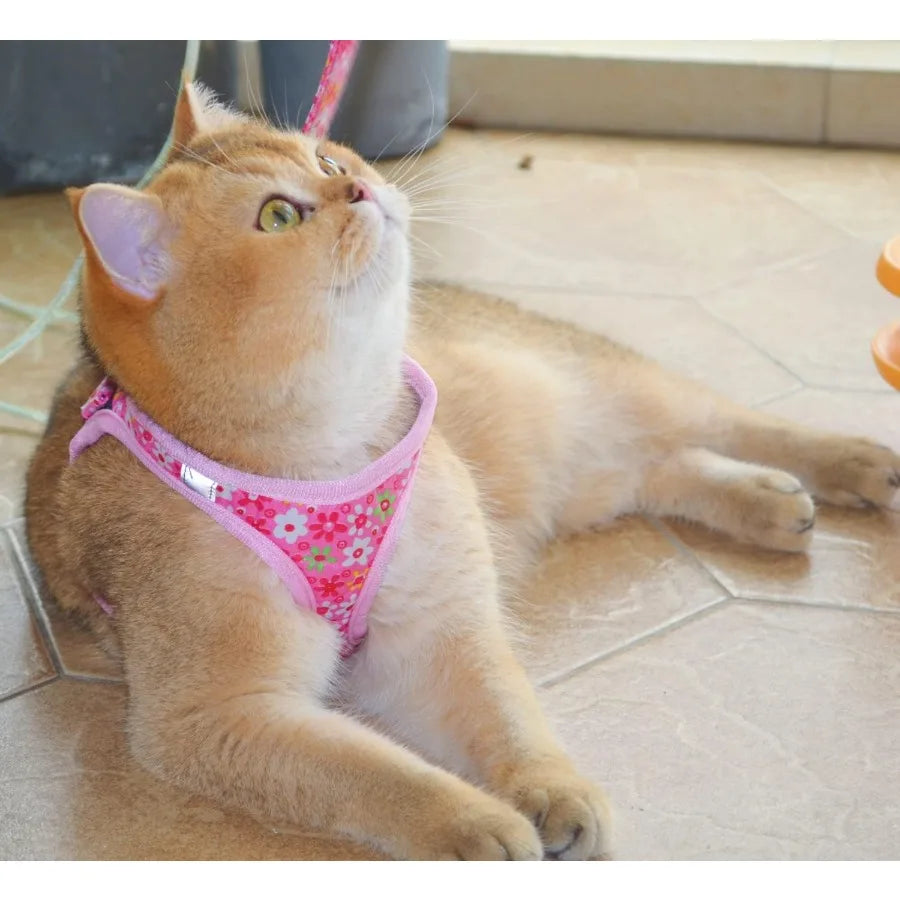 Step in Dog Harness Leash Set for All Weather Use with Reflective Details NoPull Design